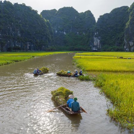 Tam Coc Landscape With River And Rice Field On Ngo Dong Stream, Ninh Binh, Vietnam In 2022